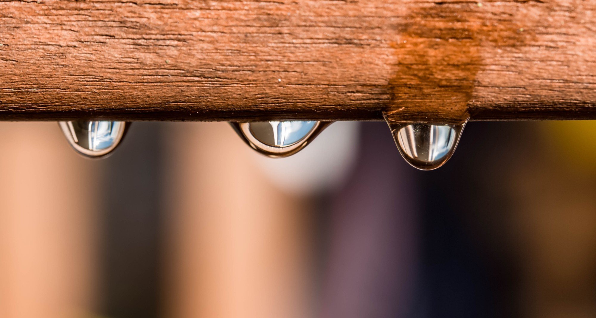 The Key Steps to Selling a House With Water in the Crawl Space