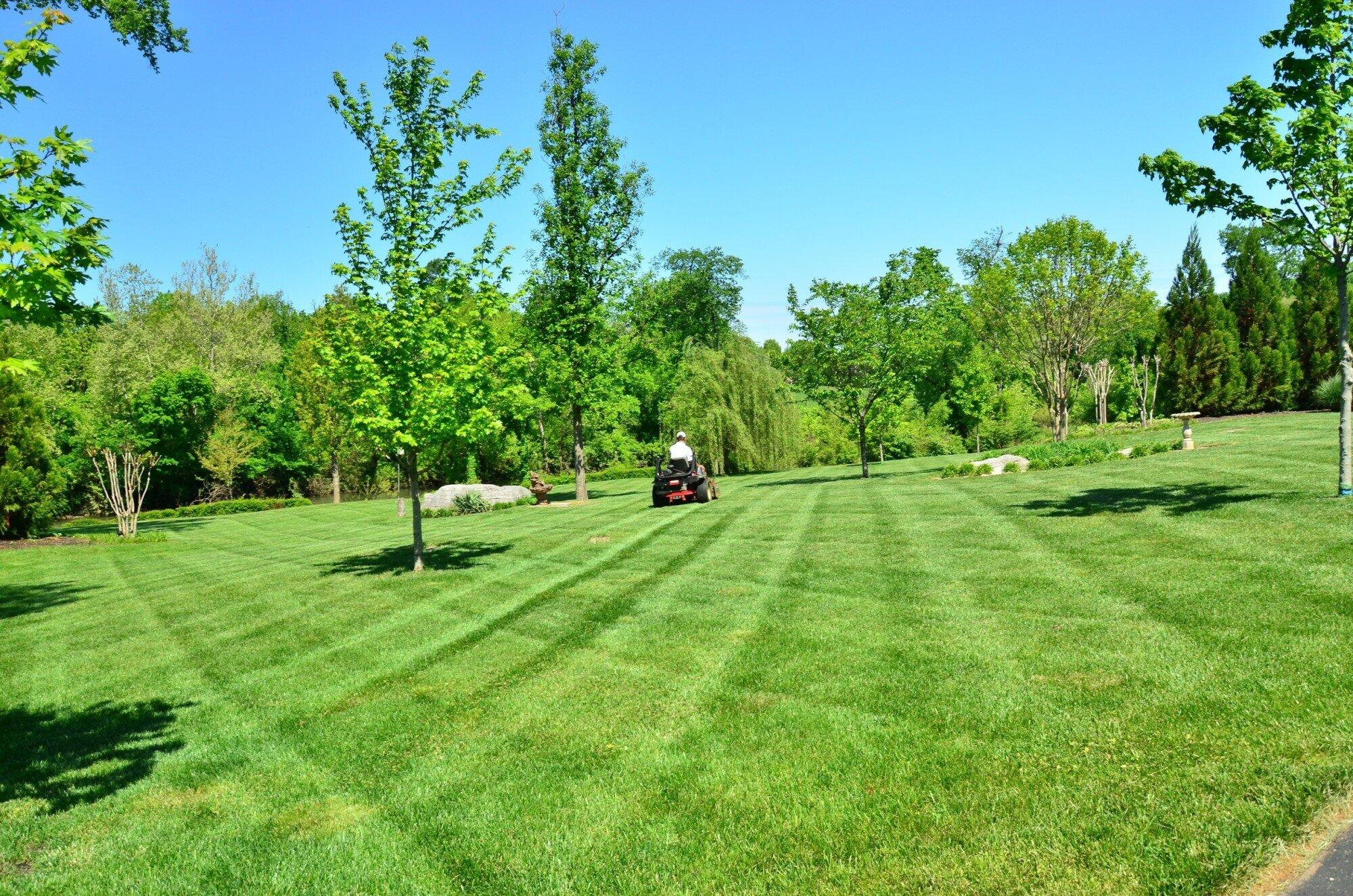 How to Measure Lawn Square Footage for a Better Home Listing